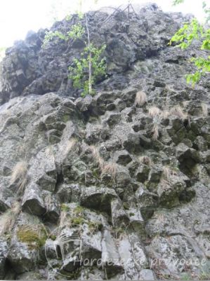 Foto od Pavel Bechyně Kýsa, Hamr na Jezeře